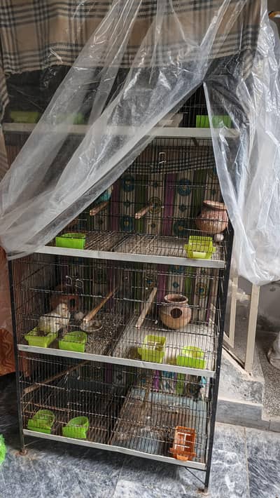 cages conditions 10/9 serious hi rabta kry