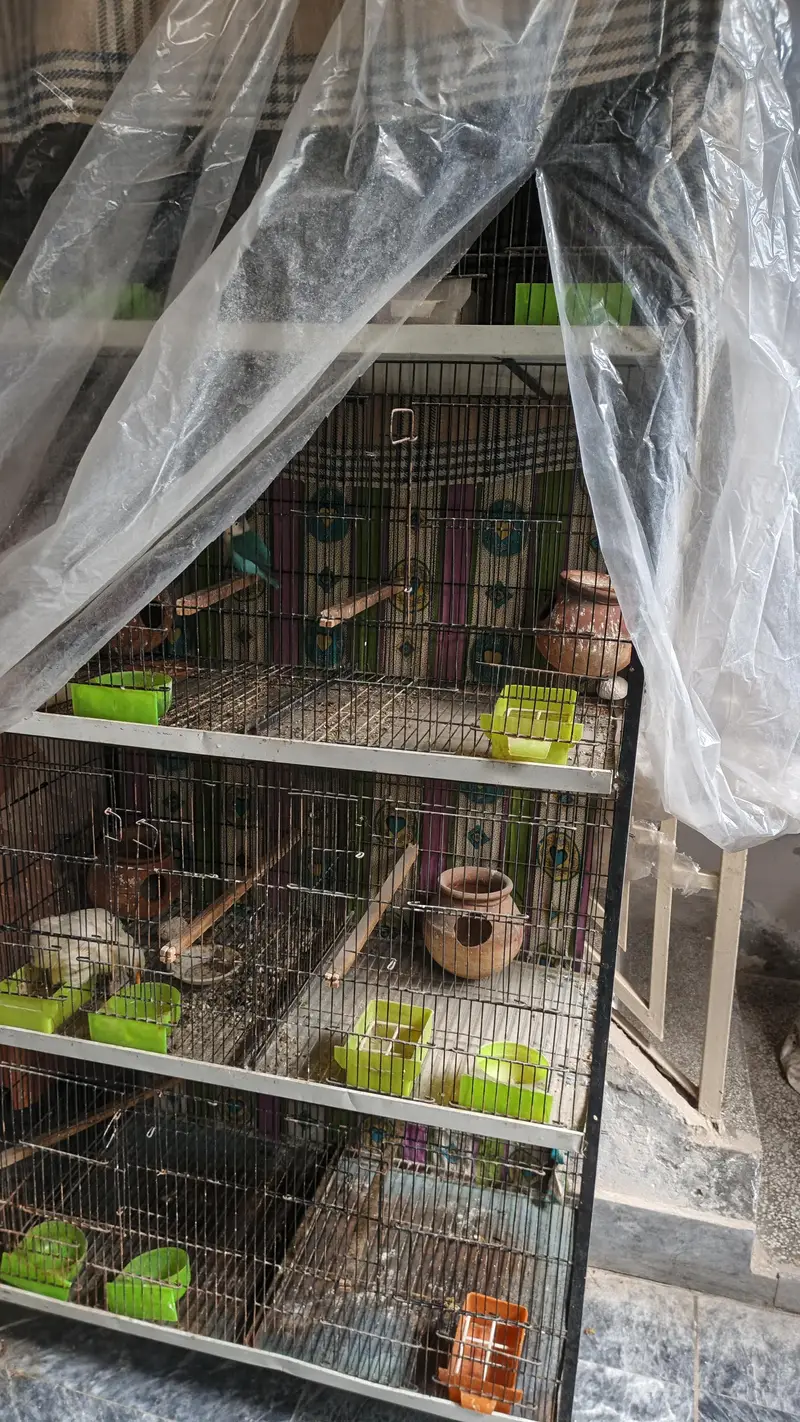cages conditions 10/9 serious hi rabta kry — photo 3