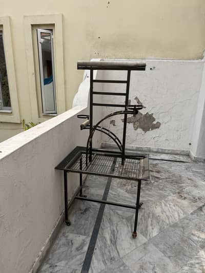 Parrot Stand