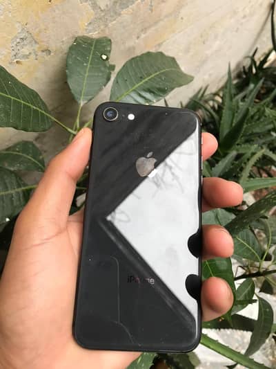 iphone 8 and iphone 6s