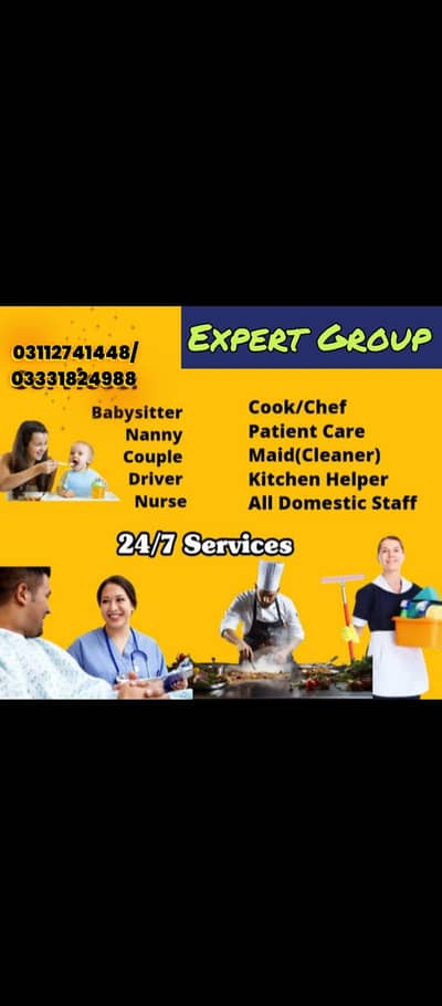 Maid Baby Sitter Patient Attendant Cook Driver