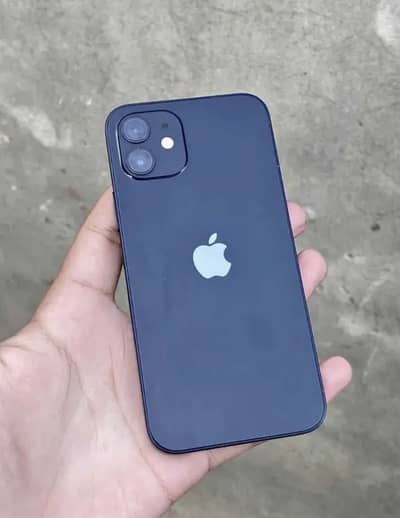 I phone 12