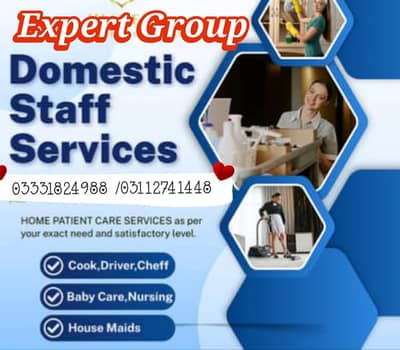 House maid / patient take care / babysitter/Driver
