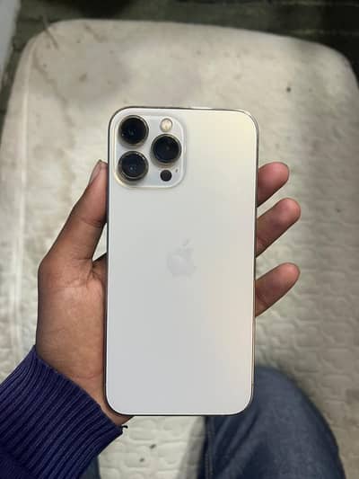 13 pro max waterpack