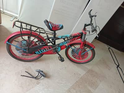 Bicycle (just like brand new)