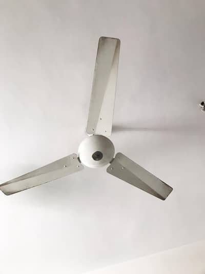 Ceiling Fans