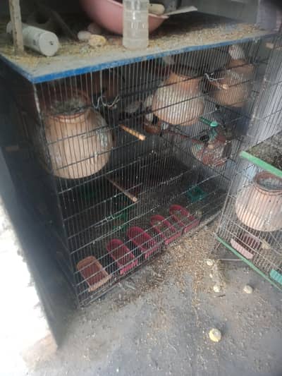 use2 pinjra hai use me hai