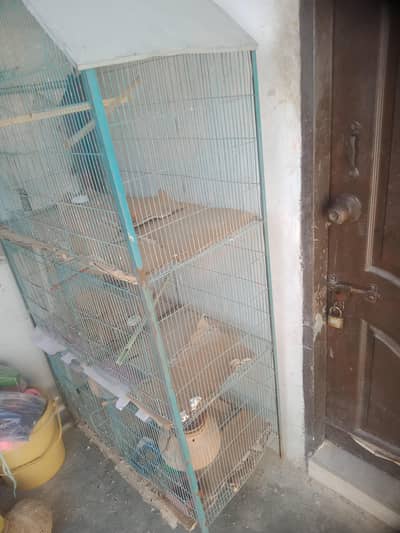 pinjra hai use me hai