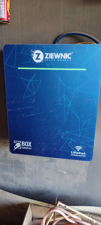 ZIEWNIC LITHIUM BATTERY EUROPEAN 100AH-51.2V 8000 Cycles