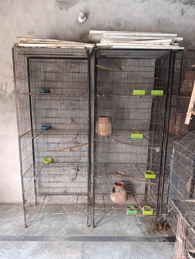 Cages for sale In lahore