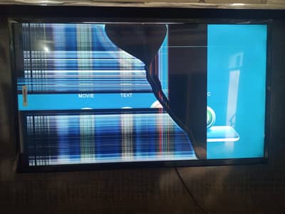 24 Inch Samsung LED (Simple)