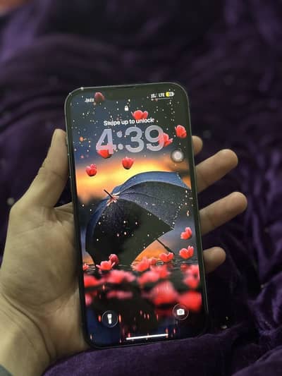 iPhone 13 Promax PTA Approved