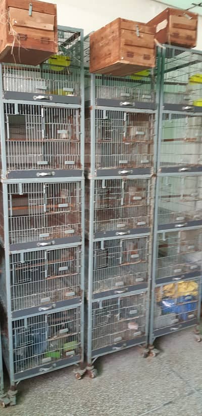 6 Cages, 5 portions wala for sale