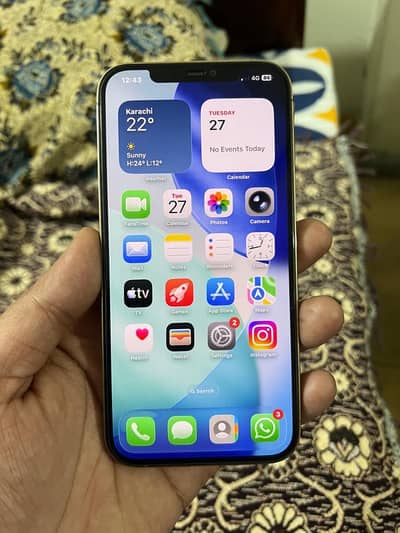 I phone 12 Pro Max PTA dubal Sim Esim plus Physical bettery changer