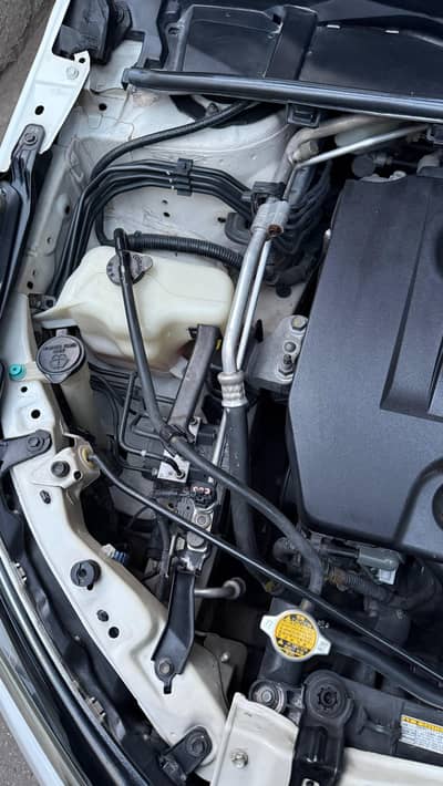 urgent sale need money