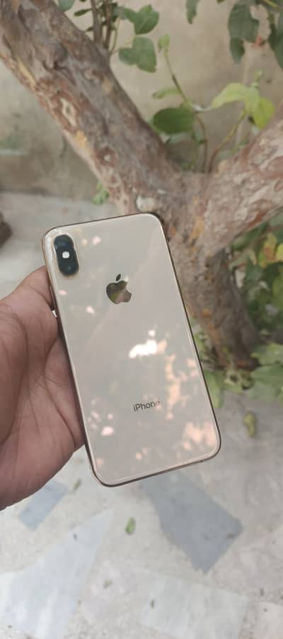 Apple iPhone XS