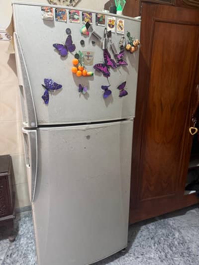 refrigirator, frigde