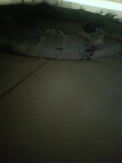 earth strips 25x3mm  imported UK. new. Furse uk