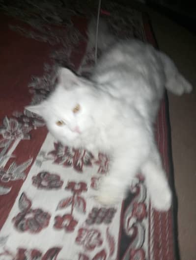 all oky ha koi maals ni ha