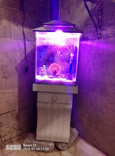 ecoruinm new 03182591930