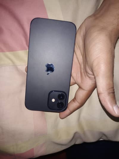 Iphone 12 Factory Unlocked 10/10