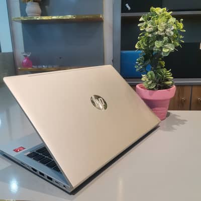 HP ProBook 445 G8 | Ryzen 5| 8GB RAM - 256GB SSD