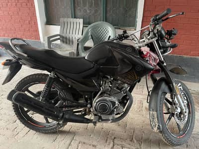 Yamaha YBR G