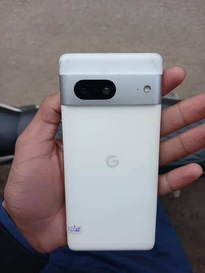 google pixel 7