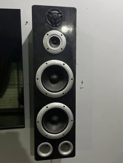 Floor Standing Speakers