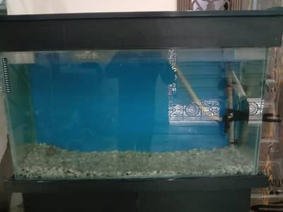 Fish Aquarium - Complete Set with Table and Accessories
