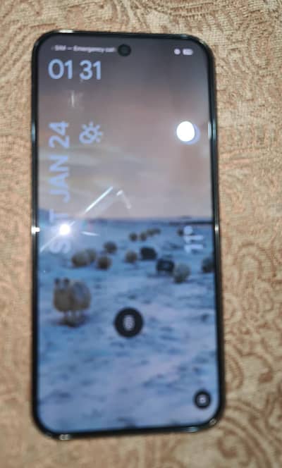 Google Pixel 9 Pro XL