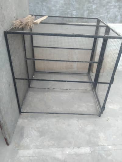 iron cage03244046979