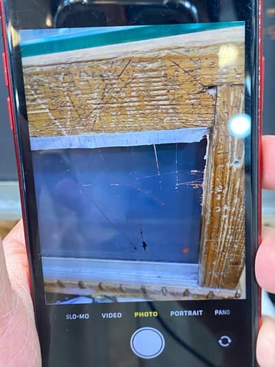 xr non pta face id off battery change back change 64 gb