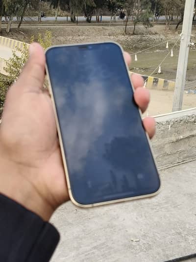 iPhone 12 Pro Max duel fizikal pta Aprove with box