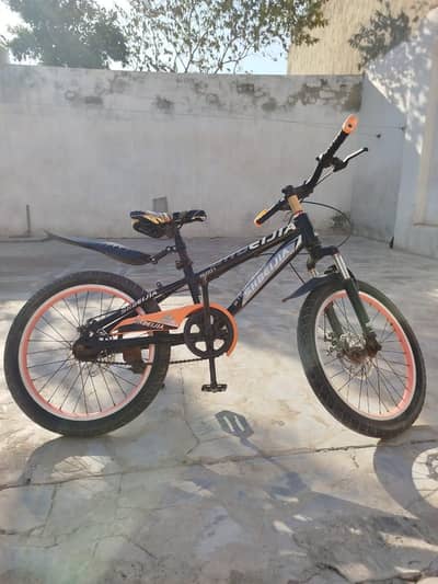 Stylish Mountain Bicycle for Kids