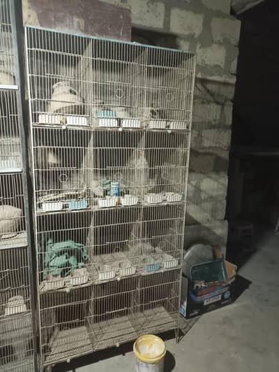 cage for sale 12 box