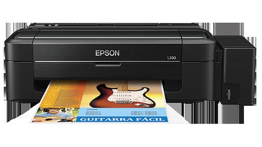 Epson L300