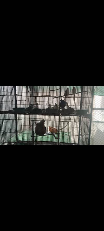 Different size folding cages