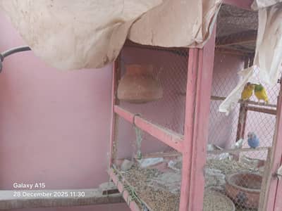 4 ha egg ka sath or sath me catch bhi