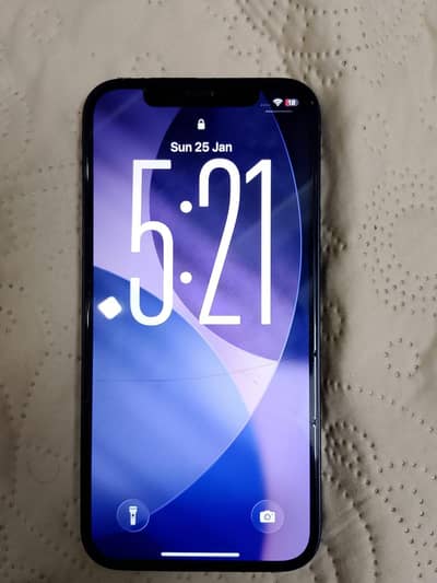 iPhone 12 10/10 waterpack