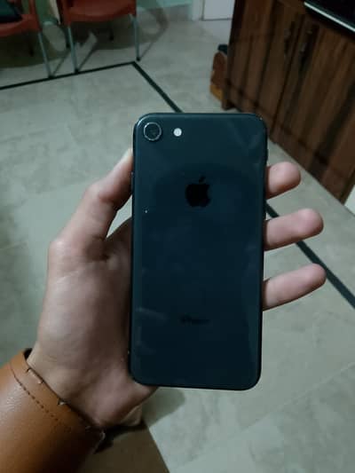 best phone for pung and photography