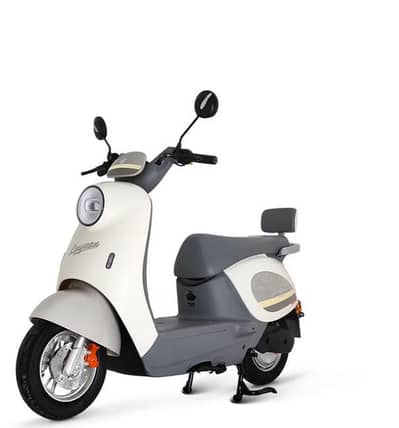 luyuan electric bike