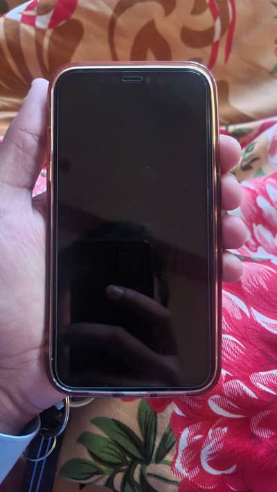 iPhone XR convert 13 pro