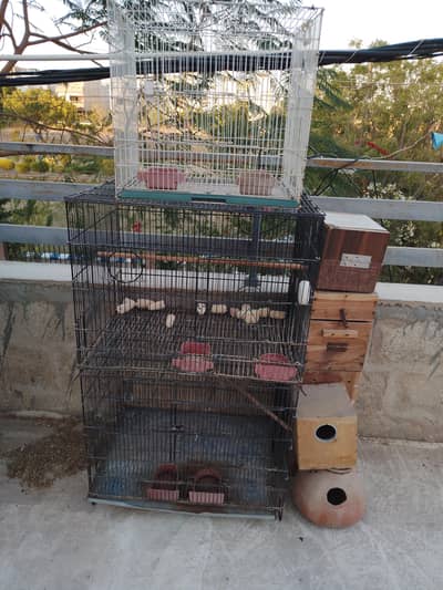 cage and accessories