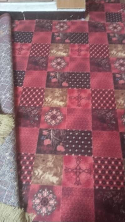 carpet just 3 month  used