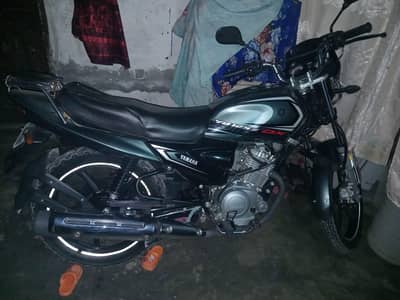 lash baik ha 03064115011