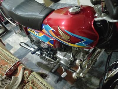 Honda cd 70 new stekar 2025/2026 all Panjab no laga ha