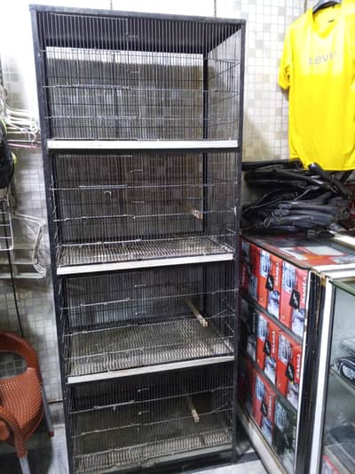 Birds cage