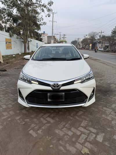 Gli bumper to bumper genuine