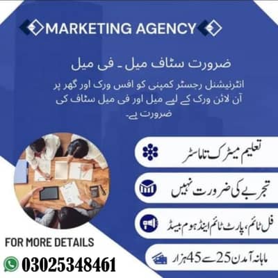 Online / Office Base Job